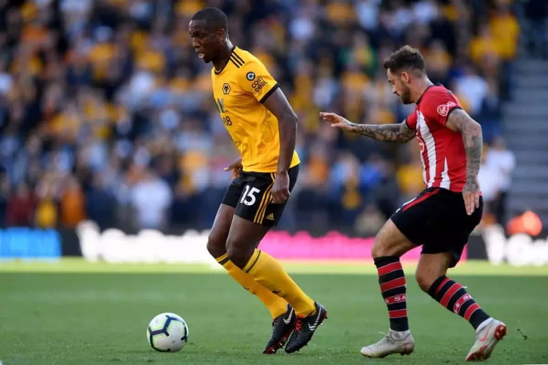 南安普顿主场艰难胜出，继续保级征程的简单介绍