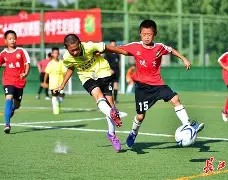 关于乱云飞渡！国内足球场上的未知变数的信息