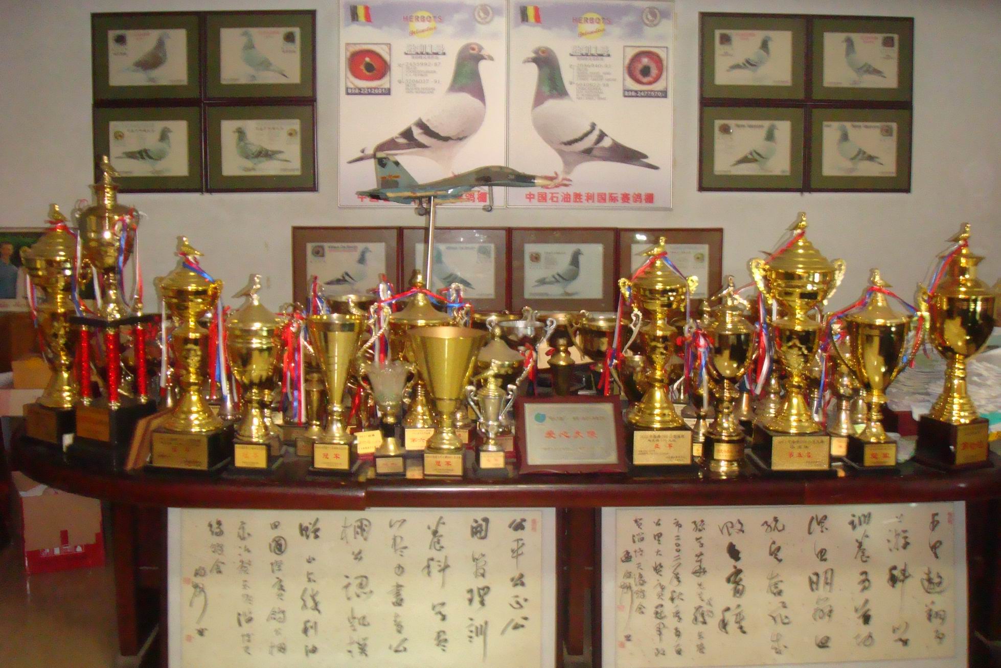 艾兹奎廷：在国际比赛中取得胜利