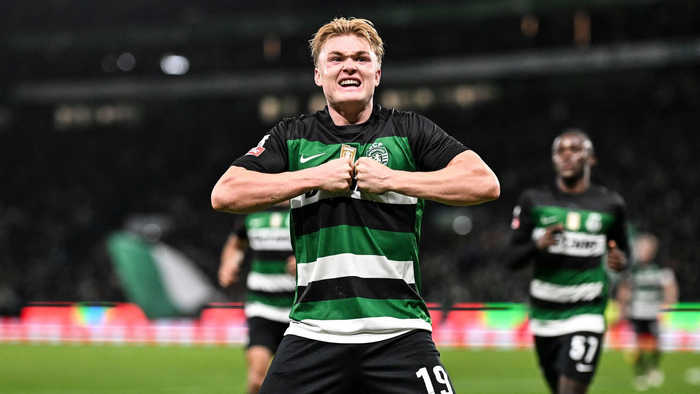 关于丹麦队球员技术精湛，励志冲出小组赛的信息